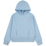 Levi's Angel Falls Batwing Patch Hettegenser