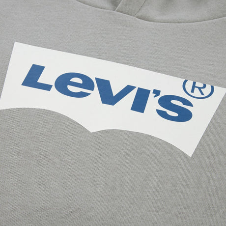 Levi's Ghost Gray Batwing Screenprint Hettegenser