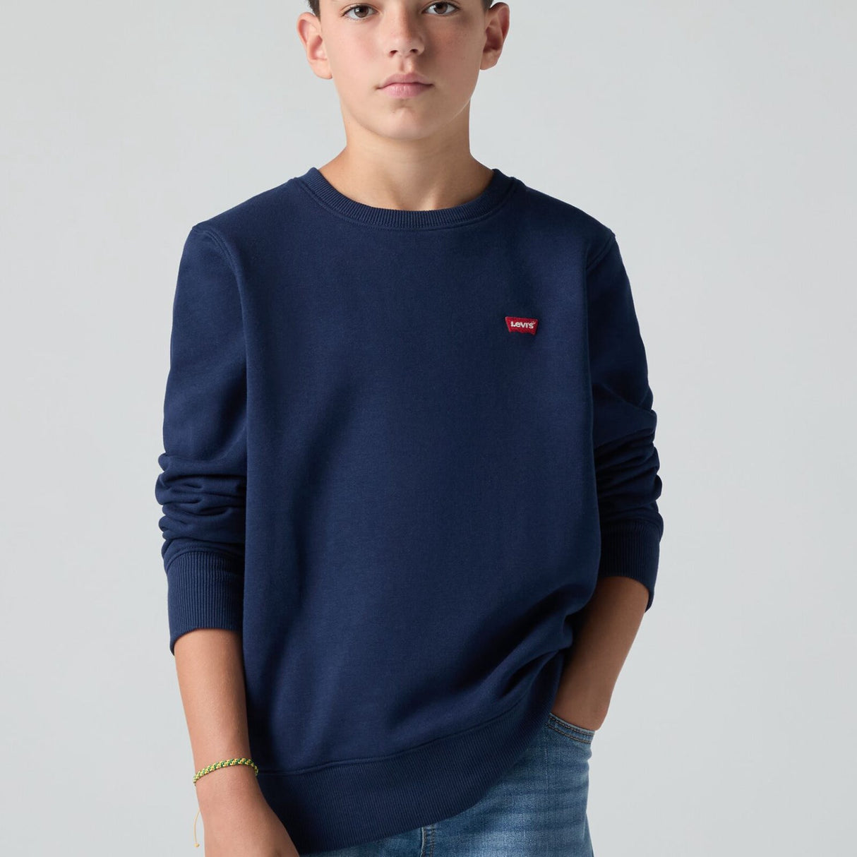 Levi's Dress Blues Mini Logo Crewneck Sweatsh