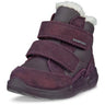 Ecco Mauve/Night Shade Barolo Biom 2.2 Inf. Ankle Støvler