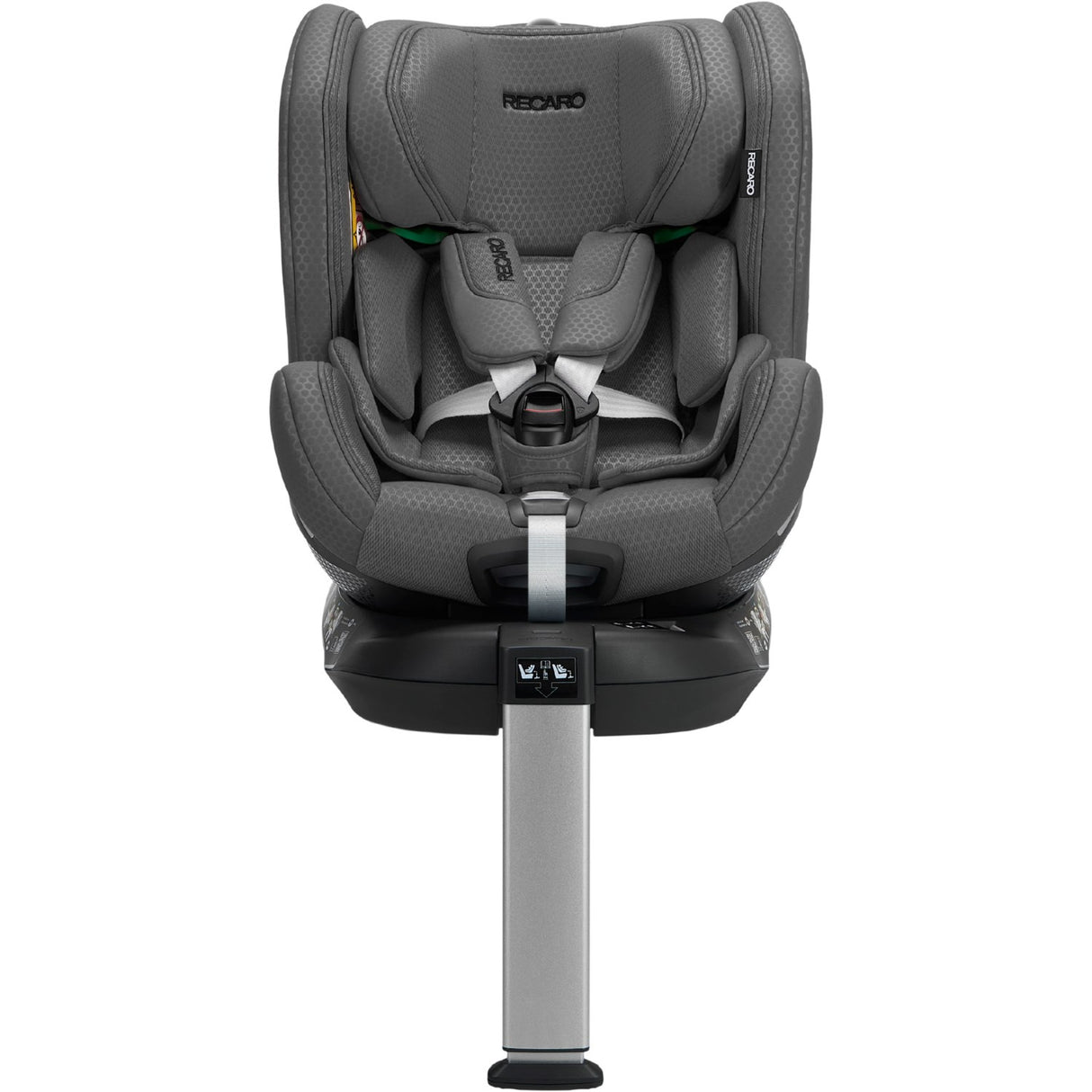 RECARO Gallant Grey Xenon 1 Bil Sete