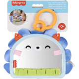 Fisher-Price® Nyfødt 2-i-1 Speil