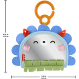 Fisher-Price® Nyfødt 2-i-1 Speil