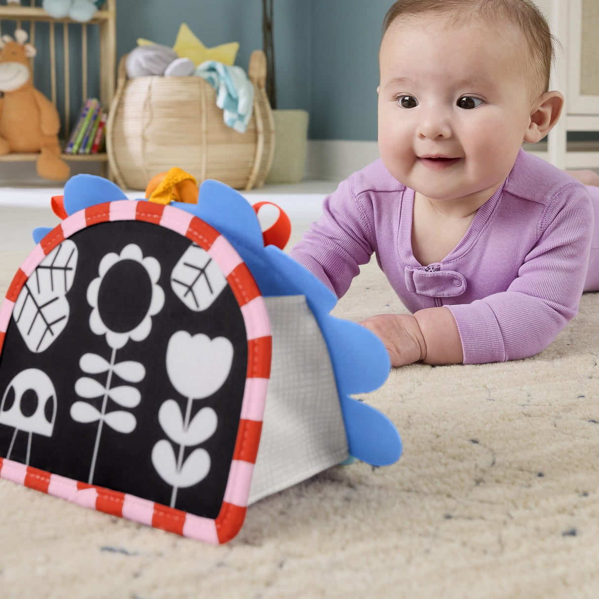 Fisher-Price® Nyfødt 2-i-1 Speil