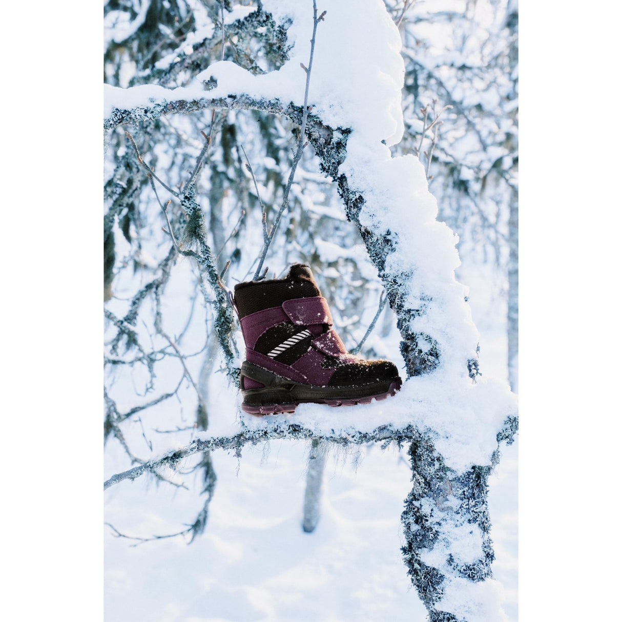 Ecco Black/Mauve/Black Biom Hike I Højt Støvler 2X