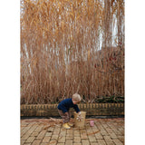 Mushie Water Wheel Bath Leketøy