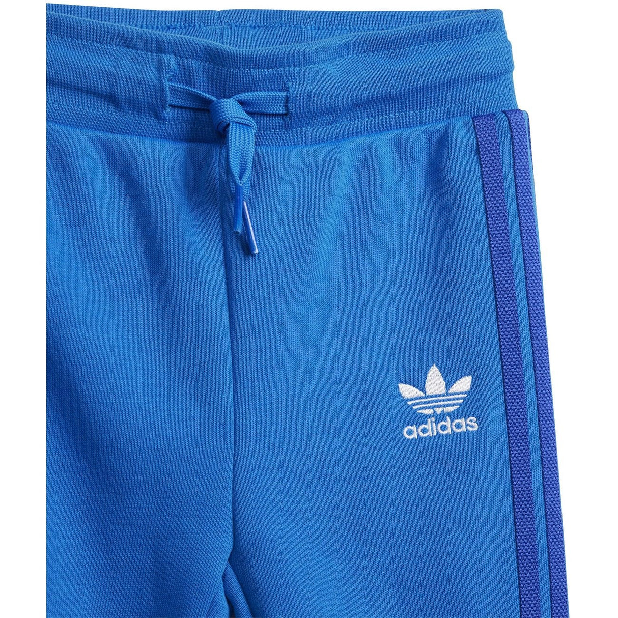 adidas Originals Blue Bird / Semi Lucid Blue Joggedress 6