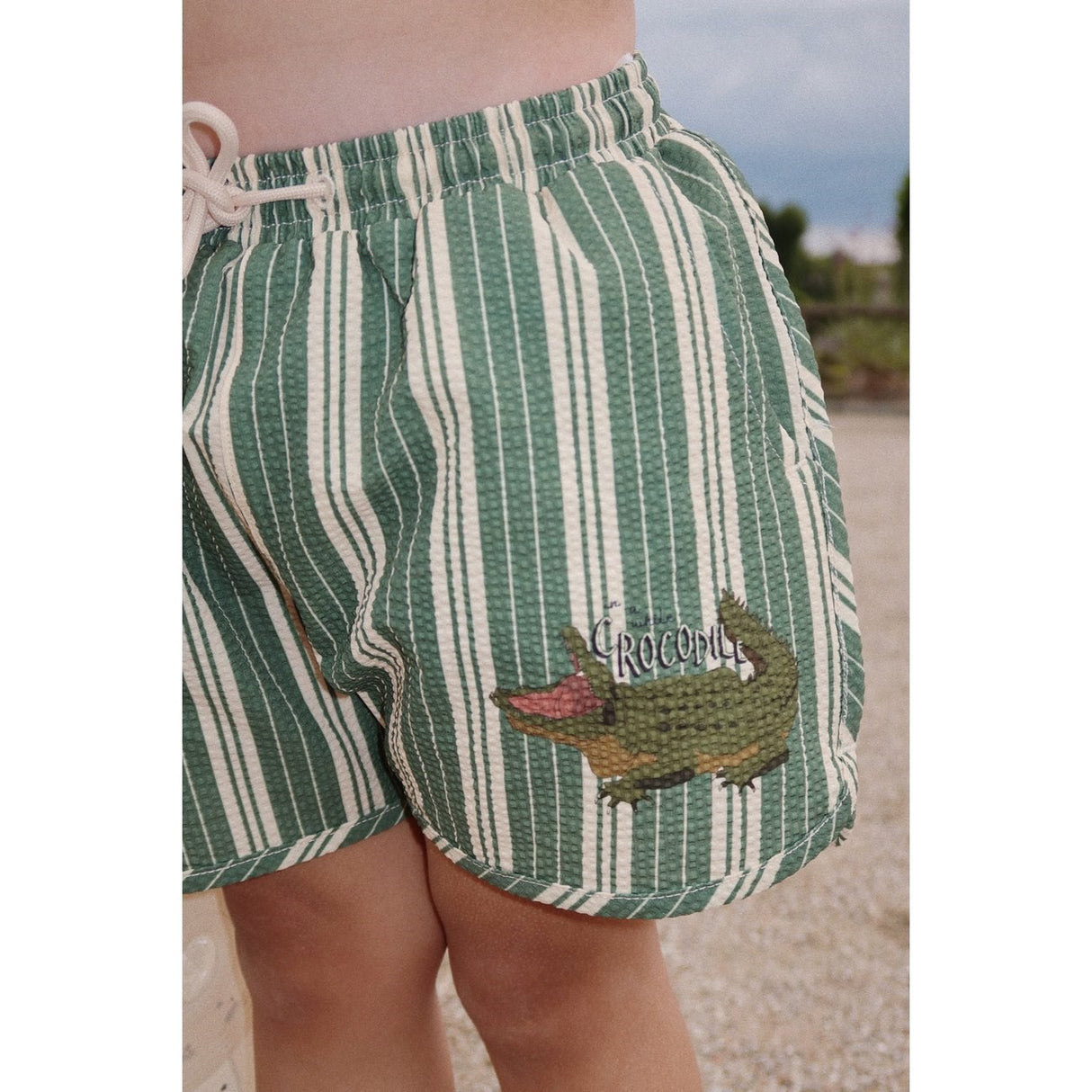 Konges Sløjd Seer Asnou Badeshorts Pasture Stripe 3