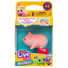 Little Live Pets Needees Pig