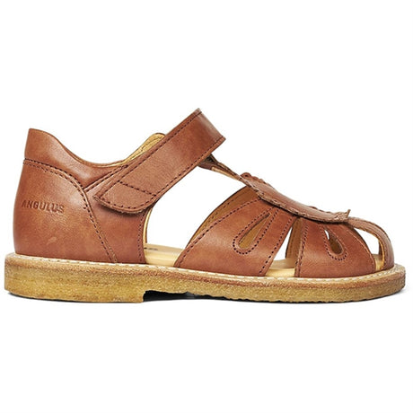 Angulus Sandal M. Borrelås Tan 2