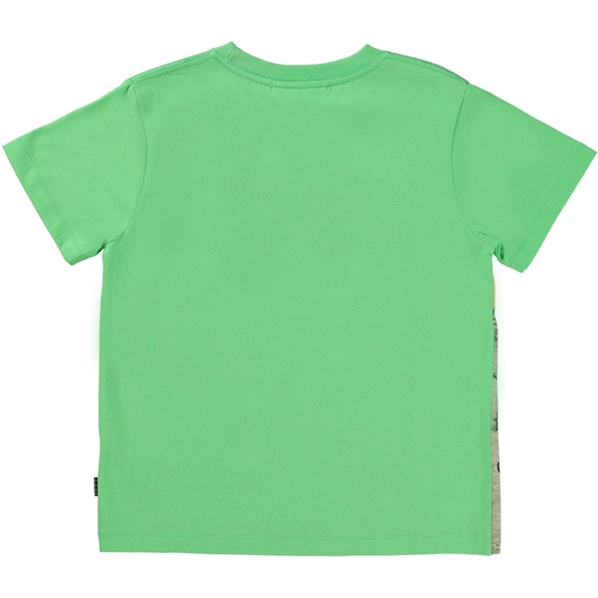 Molo Colourful Dinos Rame T-shirt 2