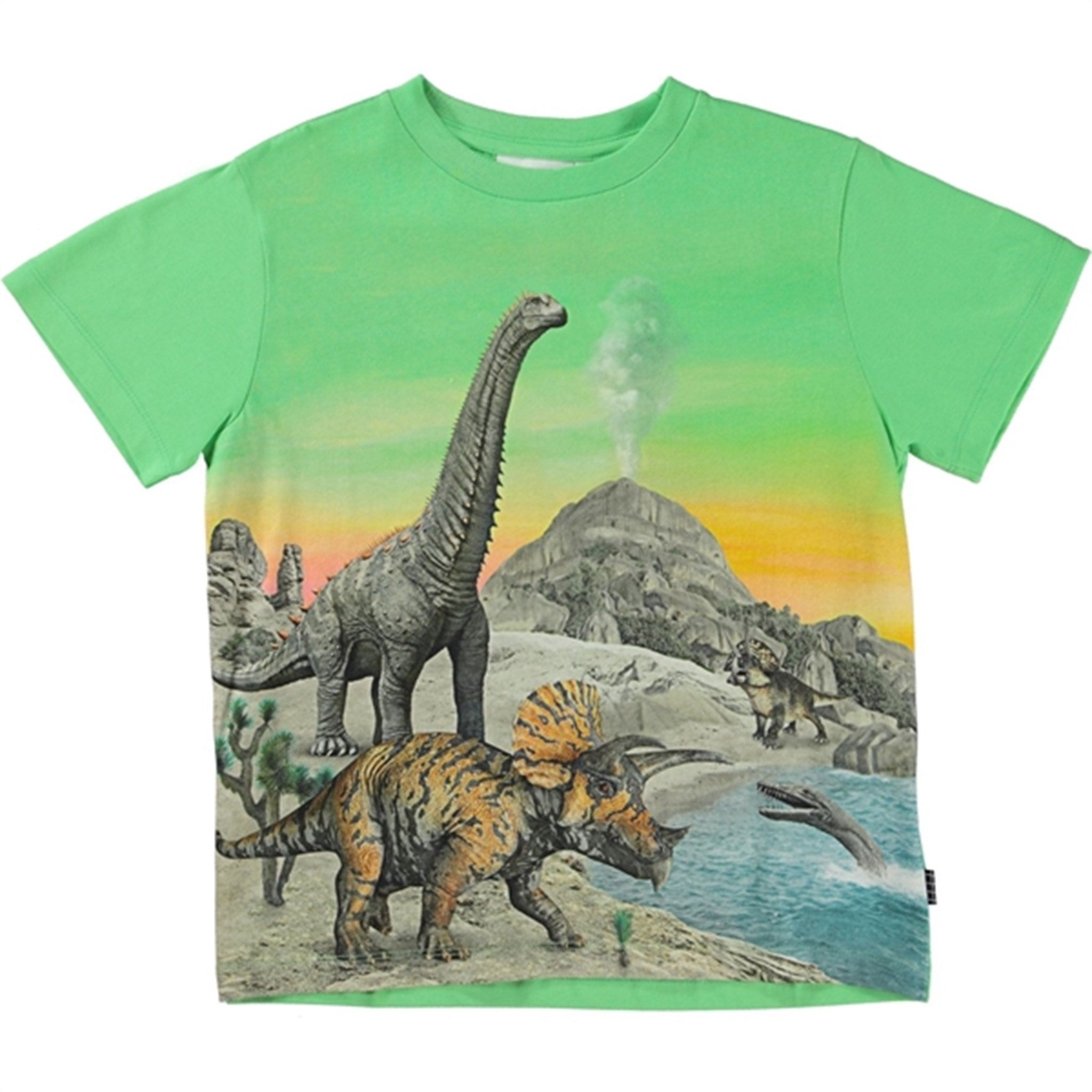 Molo Colourful Dinos Rame T-shirt