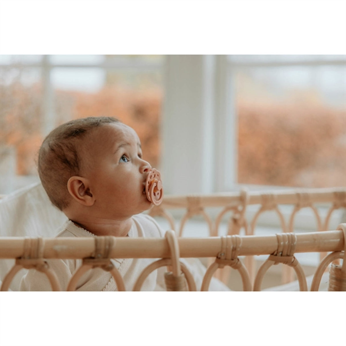 Bibs Boheme Latex Sutter 2-pak Woodchuck/Blush