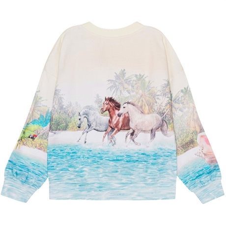 Molo Island Horse Maxi Collegegenser 2