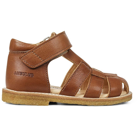 Angulus Nybegynner Sandal M. Borrelås Cognac