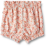 Wheat Rose Flowers Jersey Shorts Sonja 2