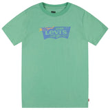 Levi's Distressed Batwing T-shirt Green