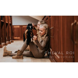 Cheval Roi Gal Hest Charlie 5