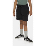 Dickies Mapleton Sweatshorts Knit Black 4