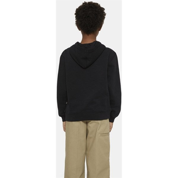 Dickies Oakport Hoodie Knit Black