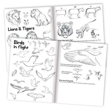 Eeboo Learn to Draw - Animals 2