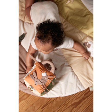 FILIBABBA Aktivitetskube Carrot Thief