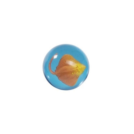 Goki Bouncing Ball 3D Ray Fish