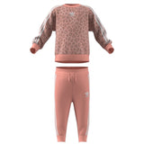 adidas Originals Multi Color / White Sweat Sett