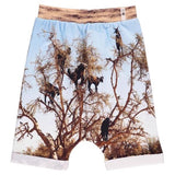 Popupshop Goat Tree Baggy Shorts