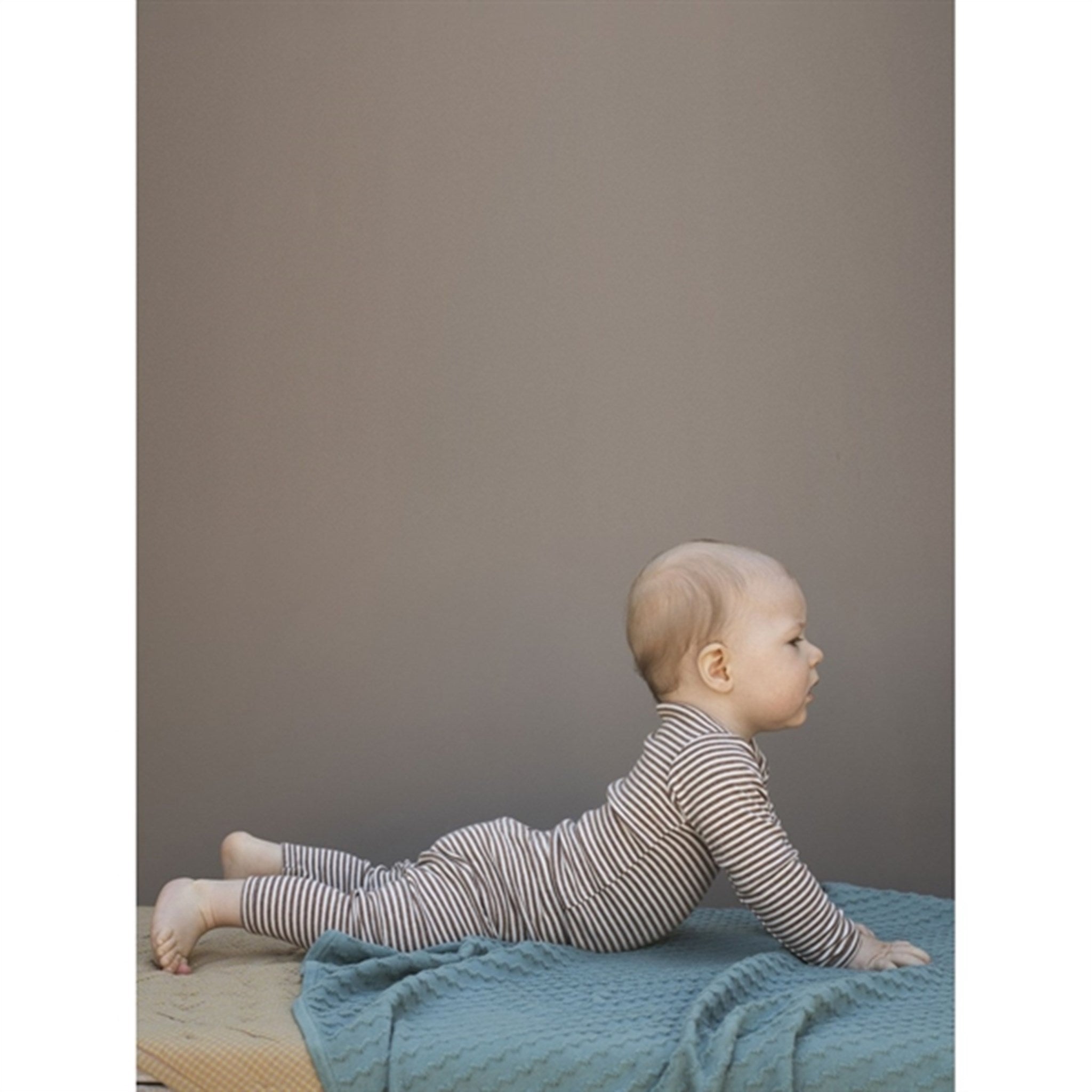 Serendipity Acorn/Offwhite Baby Body Stripe 3