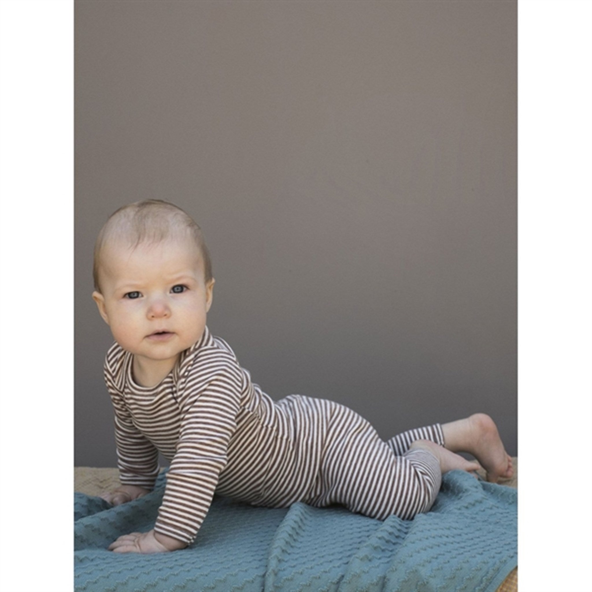 Serendipity Acorn/Offwhite Baby Body Stripe 4