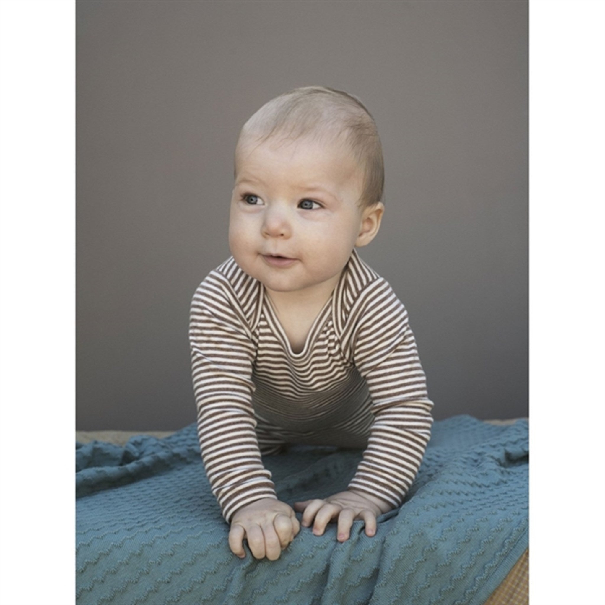 Serendipity Acorn/Offwhite Baby Body Stripe 2