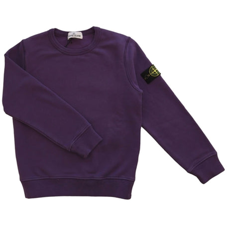 Stone Island Collegegenser Purple