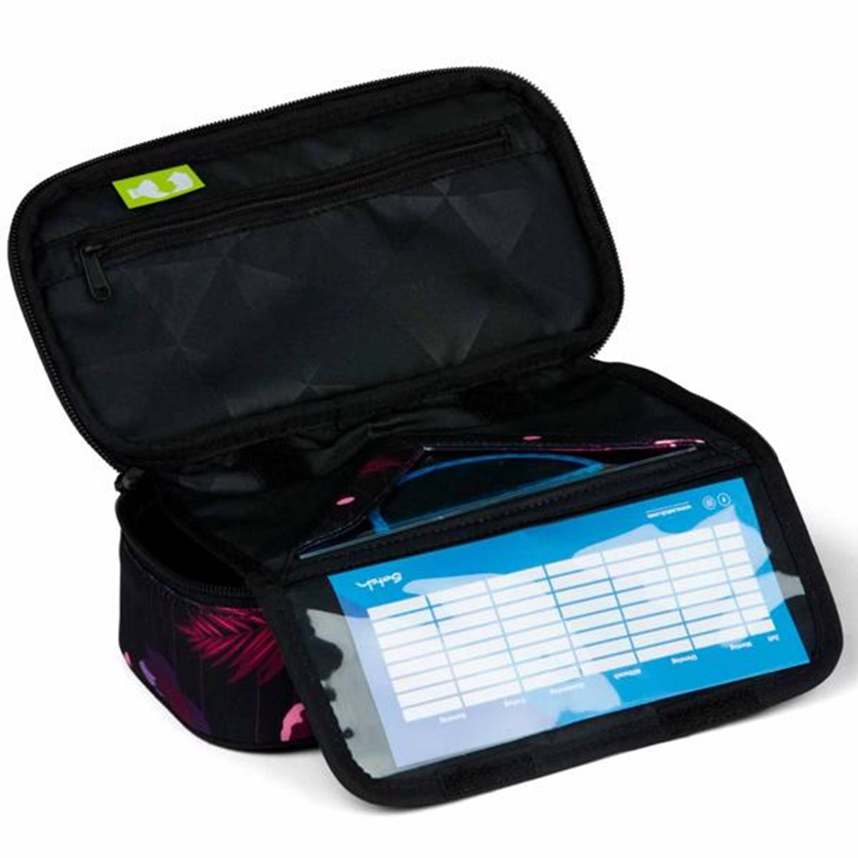 Satch Pennal Mystic Nights