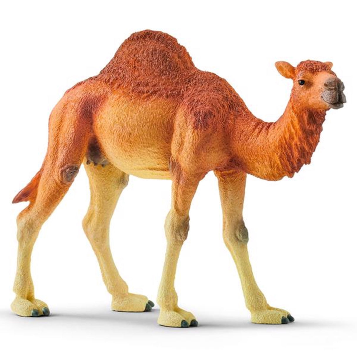 Schleich Wild Life Dromedary