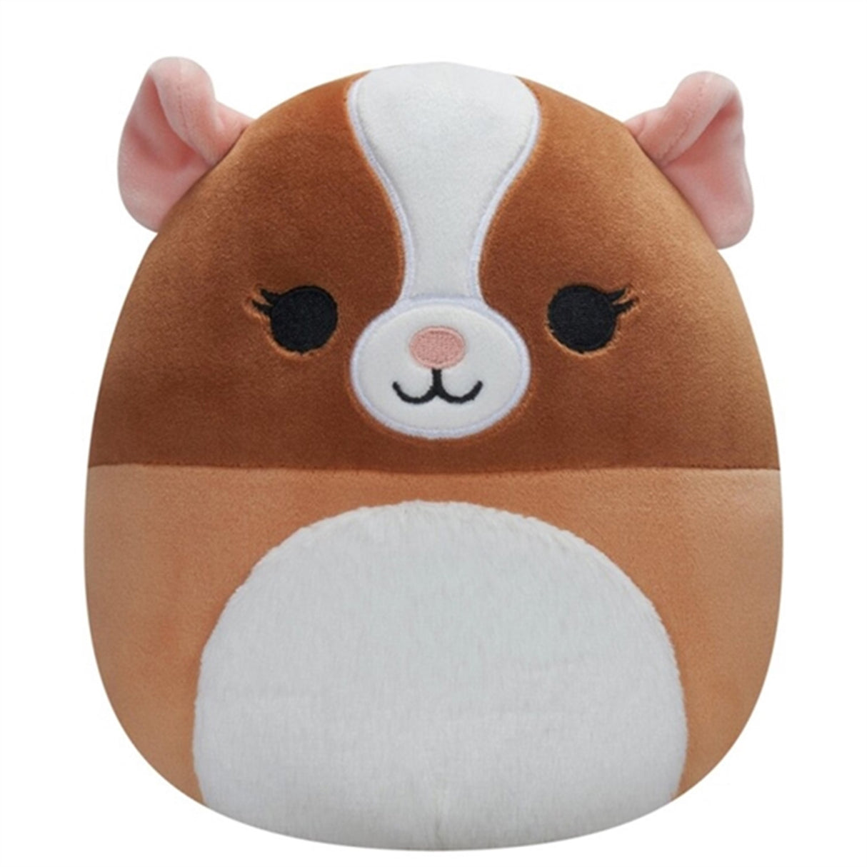 Squishmallows Garret the Brown&White Guinea Pig 19 cm P14