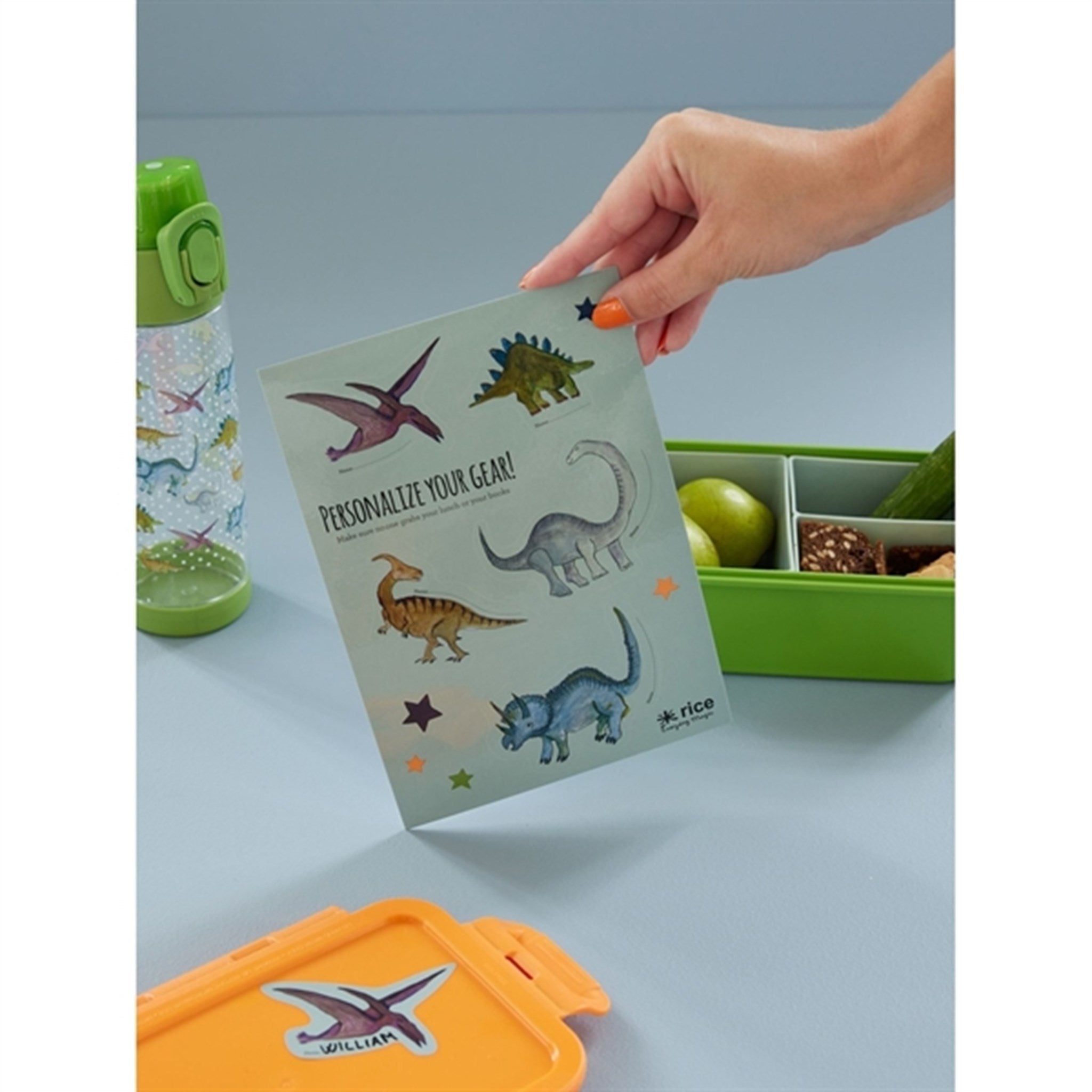 RICE Dinosaur Theme Klistermærker til Matboks 3