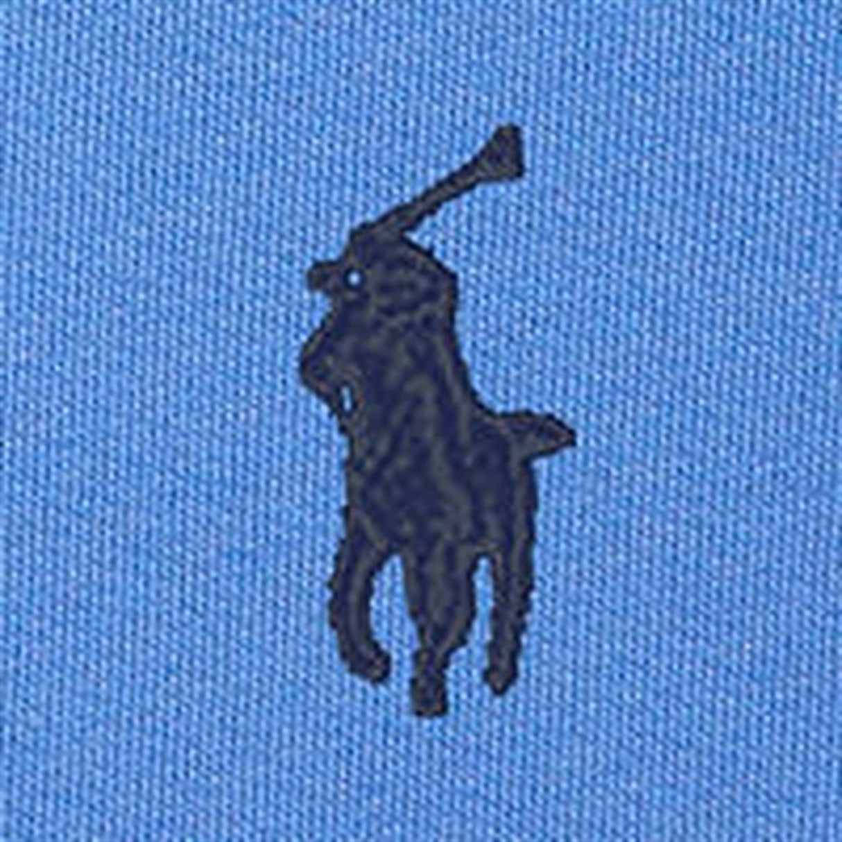 Polo Ralph Lauren Boys Collegegenser Summer Blue 3