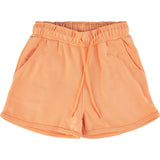 THE NEW Apricot Nectar Gia Sweatshorts