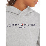 Tommy Hilfiger Essential Hoodie Light Grey Heather
